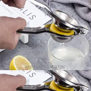 Lemon Citrus Juicer Press