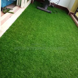 Grass Carpet Grass Carpet Grass Carpet
