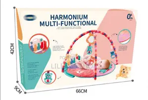 Harmonium Multifuction Baby Play Gym and Piano