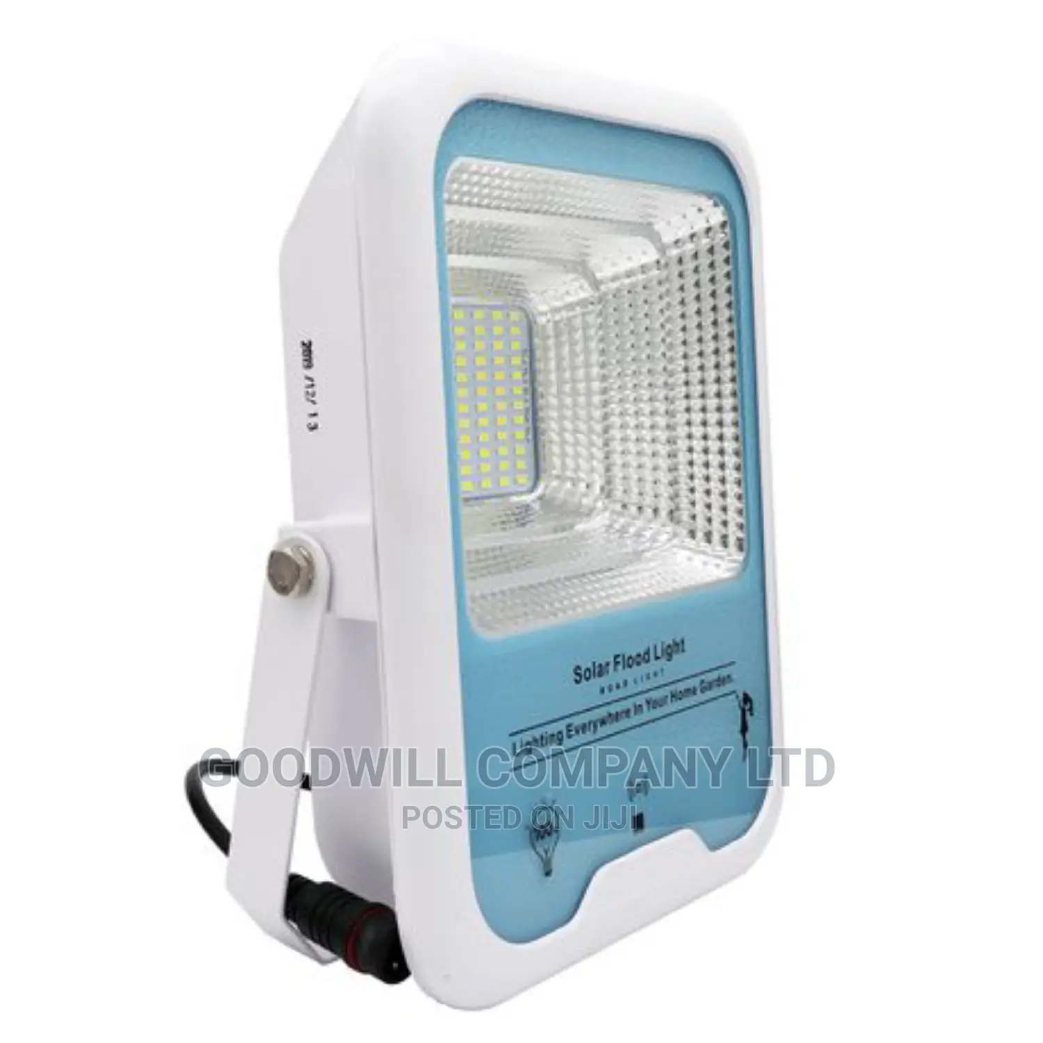 100w 10year Life Span Solar Flood Light