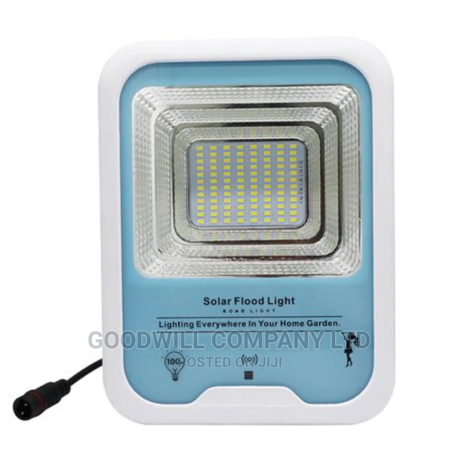 100w 10year Life Span Solar Flood Light