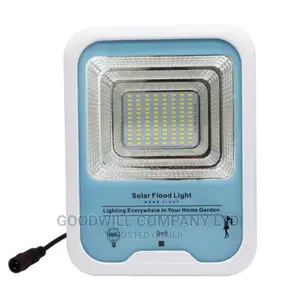 100w 10year Life Span Solar Flood Light