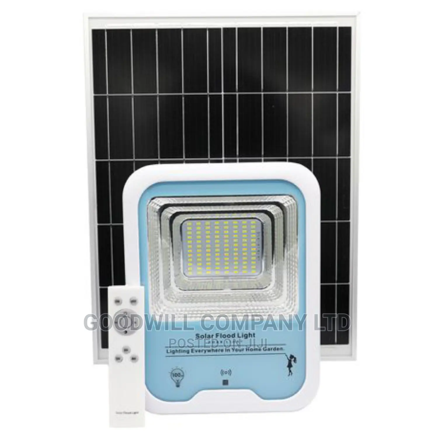 100w 10year Life Span Solar Flood Light