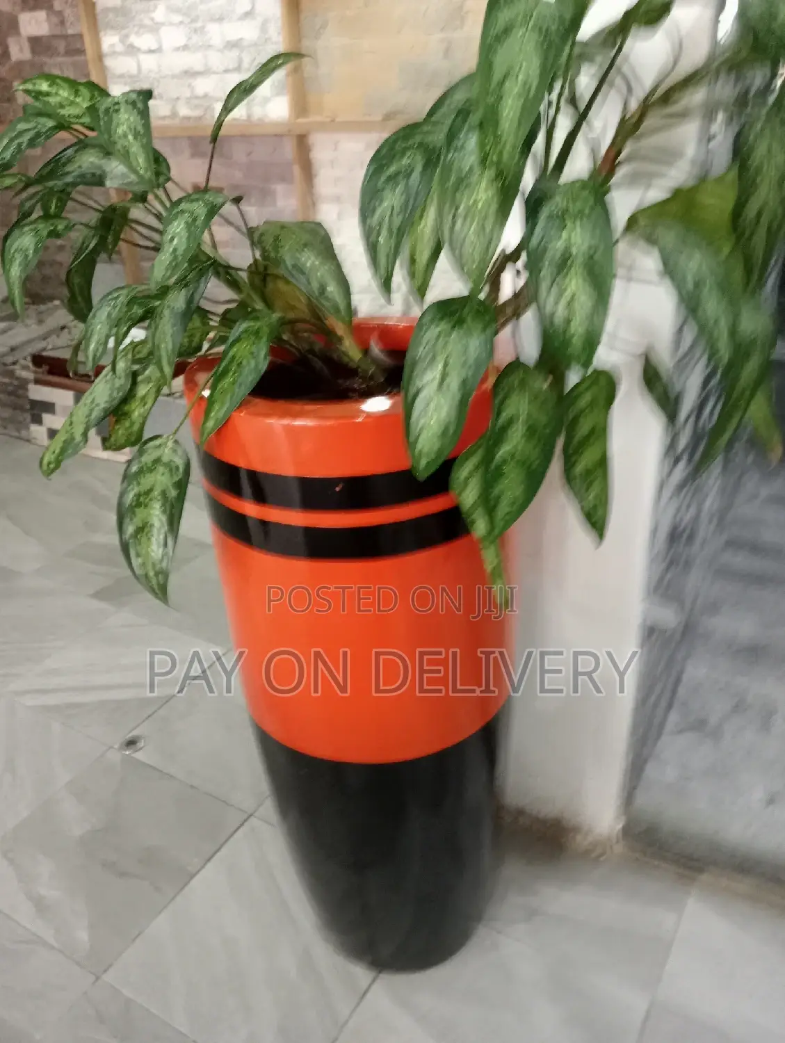 Pots and Flowers