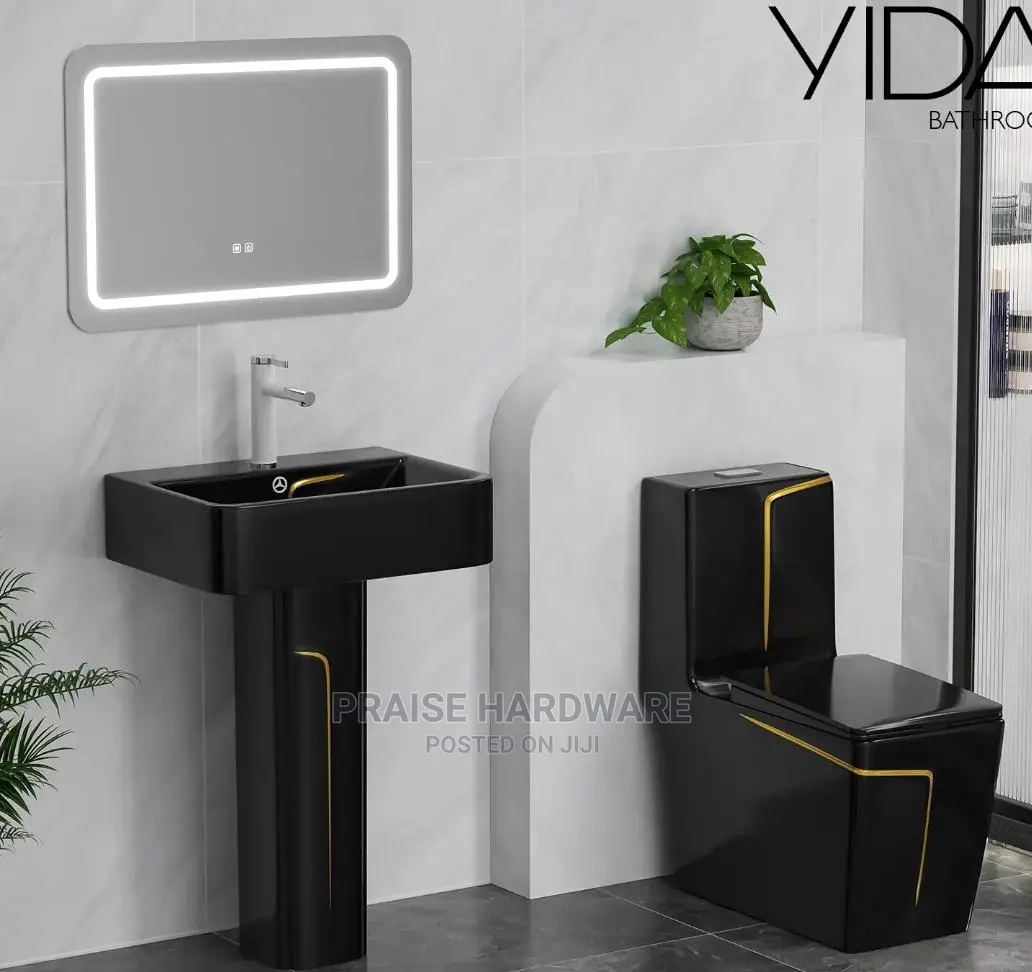 Toilets And Handwash Basins