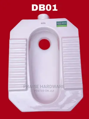 Squaorting Toilet