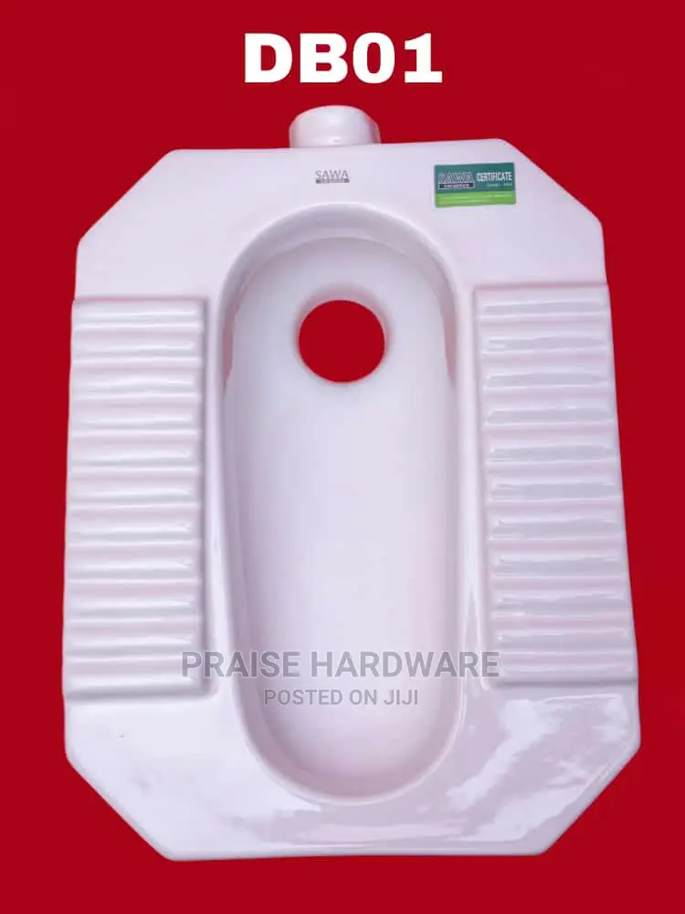 Squaorting Toilet