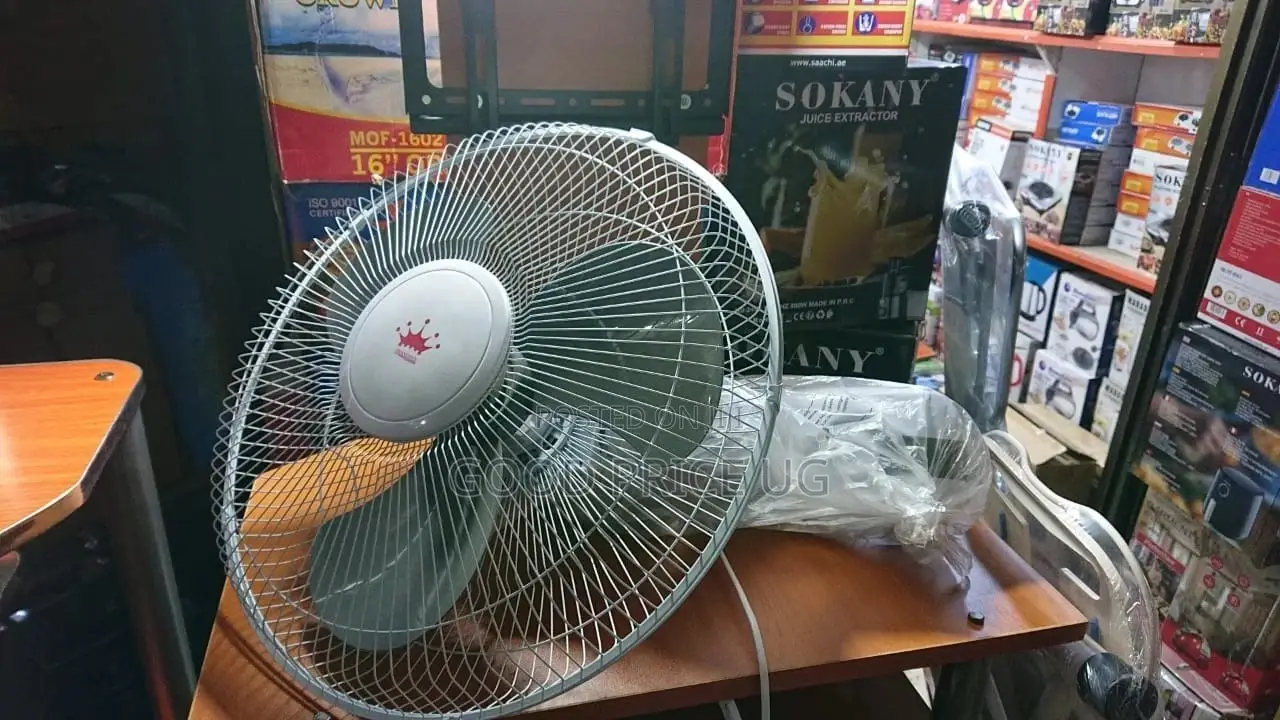 Pradtex Wall Fan