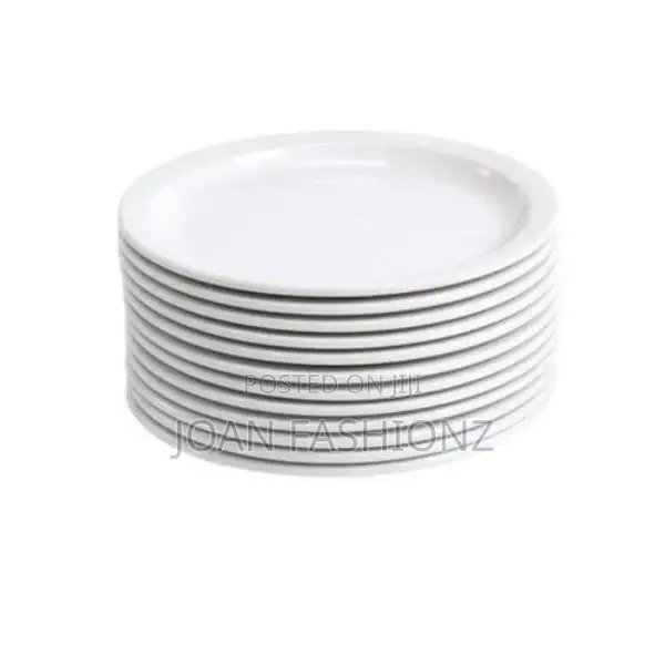 A Set of Melamine Dinner Plates With a Unique Design -White