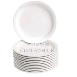 A Set of Melamine Dinner Plates With a Unique Design -White