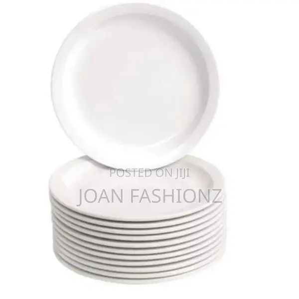 A Set of Melamine Dinner Plates With a Unique Design -White