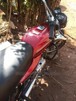 Raleigh 100cc 2022 Red