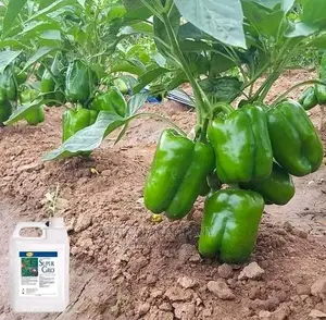 5litres Supergro Flowering Liquid Fertilisers