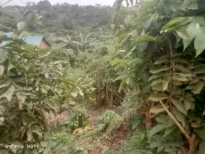 Commercial 1acre of Land for Sale in Kira Kiwologoma