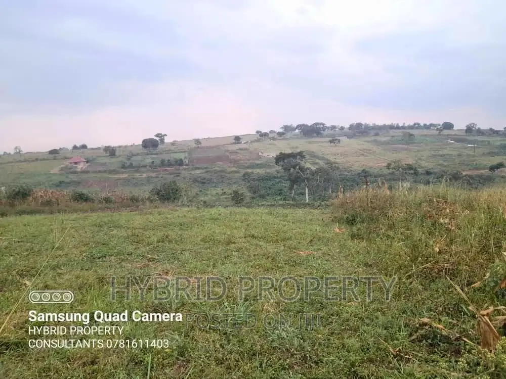 Prime Plots For Sale At Bujjuko Phase Iii Estate~Mityana Rd.
