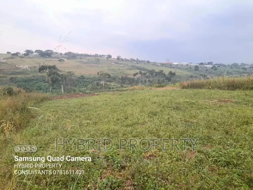 Prime Plots For Sale At Bujjuko Phase Iii Estate~Mityana Rd.