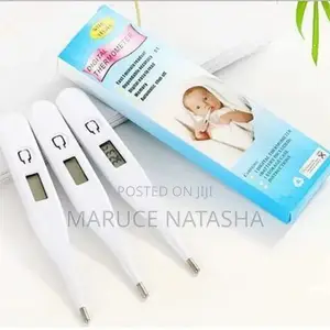 Digital Thermometer