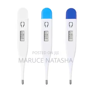 Digital Thermometer