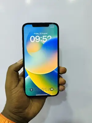 Apple iPhone 12 Pro Max 256 GB Blue