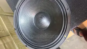 B C/ B and C Woofer Speaker Woofer Big Magnet 18inch