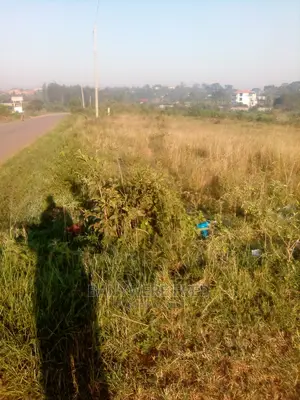 Photo - 11acres of Farm Land for Sale in Kyampisi Mukono