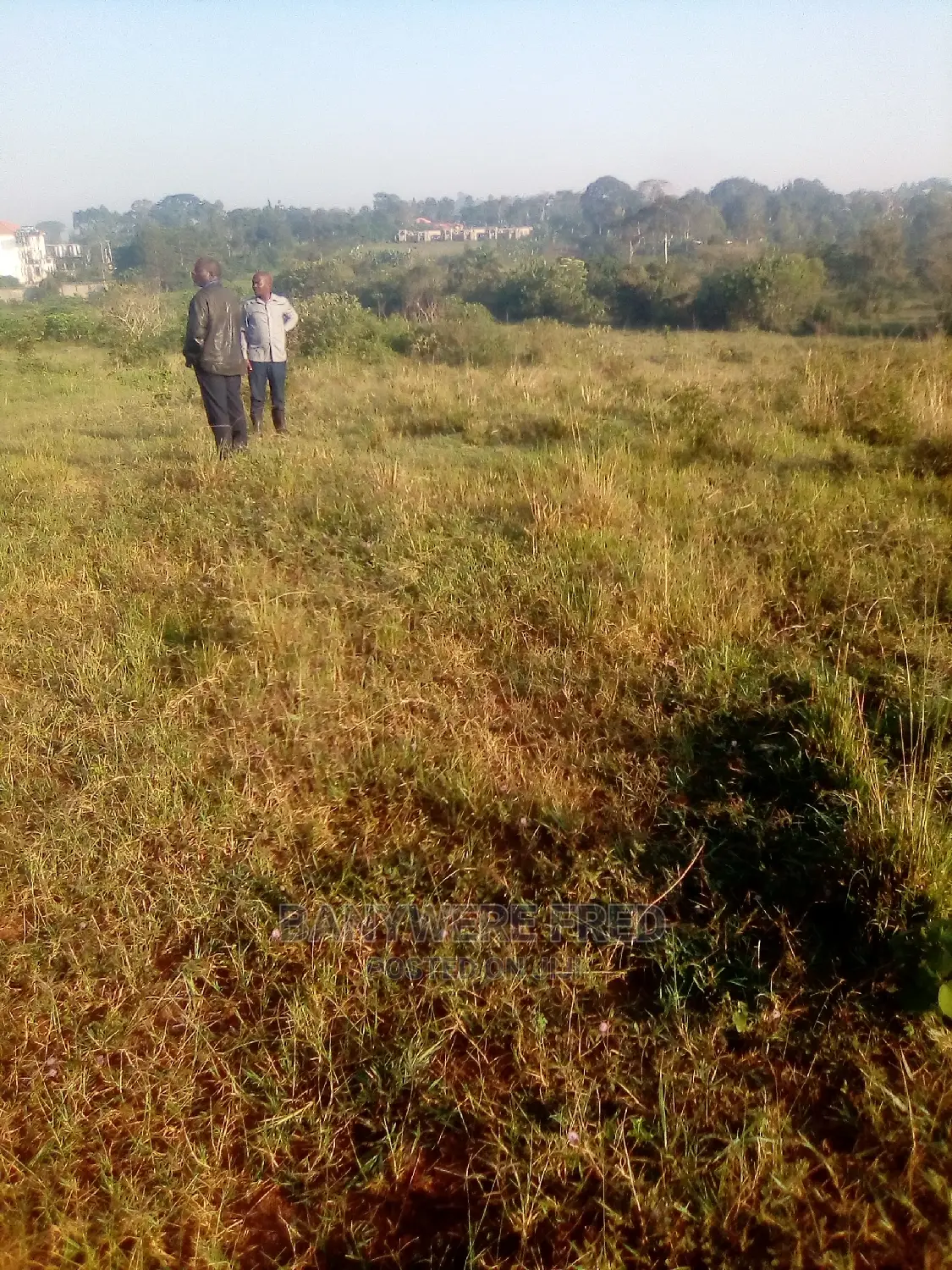 11acres of Farm Land for Sale in Kyampisi Mukono
