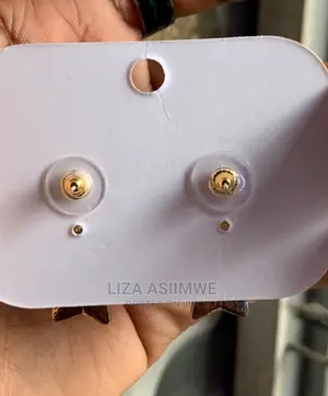 Simple and Elegant Lady’S Earpins Available