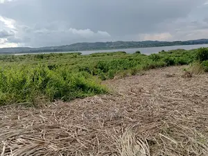 Photo - Five Acres Measuring Direct From Lake on Quicksale Buyikwe