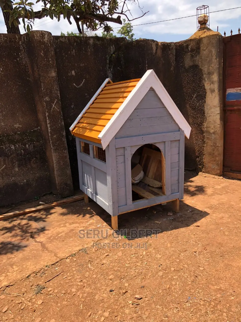 NTV Dog House