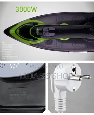 Avinas Steam Iron -3000w
