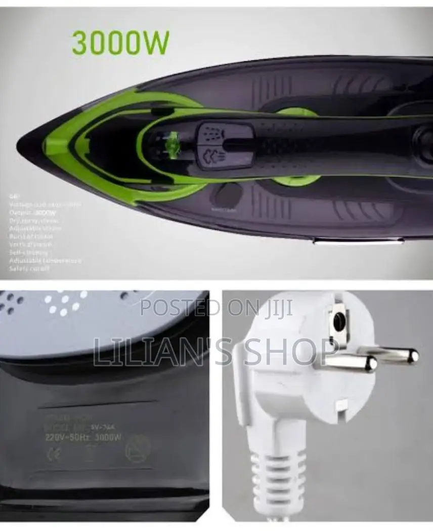 Avinas Steam Iron -3000w