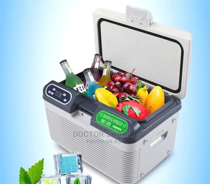 Car Cooler Refrigerator-Silver