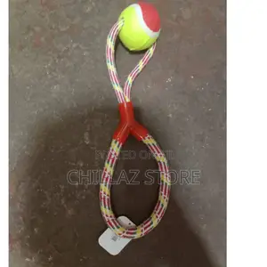 Photo - Dogs Chewing Rope.