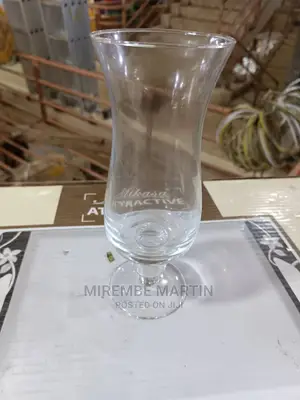 Drinking Wine Glass