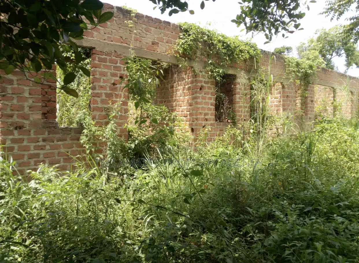 Plot With Rooms/Hostels for Sale at Ku Main Branch Luweero