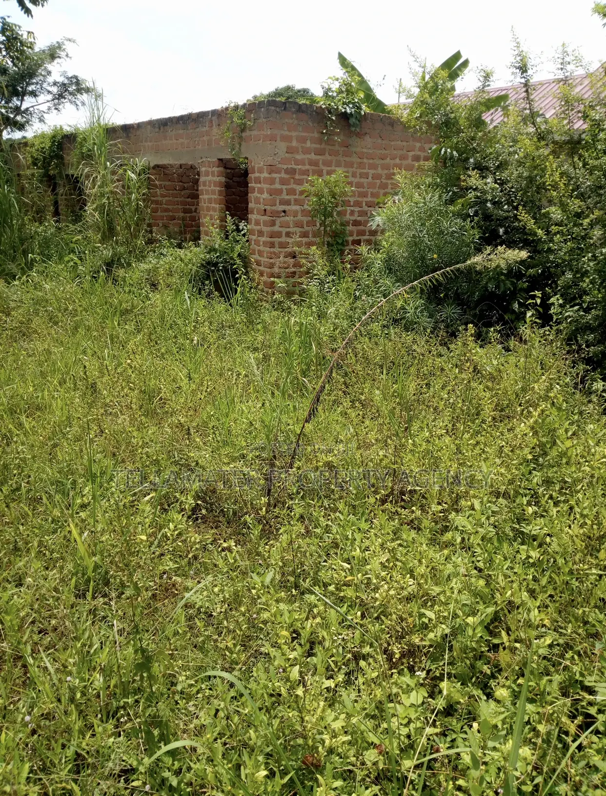 Plot With Rooms/Hostels for Sale at Ku Main Branch Luweero