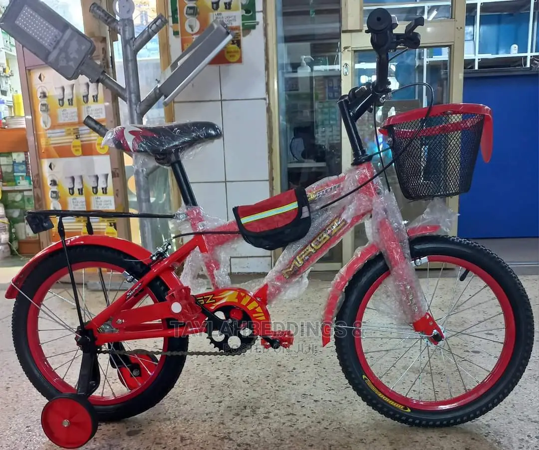Unisex Child RBY23 Kids Bicycle - Blue /Red, 12 Inch