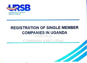 Registration of Company Owned by Single Director