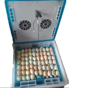 64 Eggs Incubator (Imported)