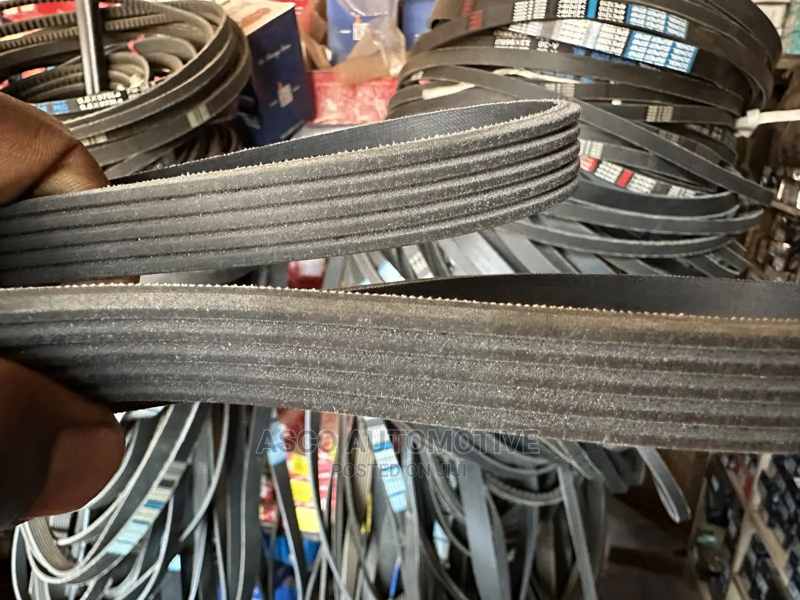 Alternator Belt For Premio Spacio Corolla. Dongil Brand