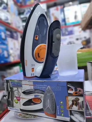 DSP Travel Steam Iron Flat