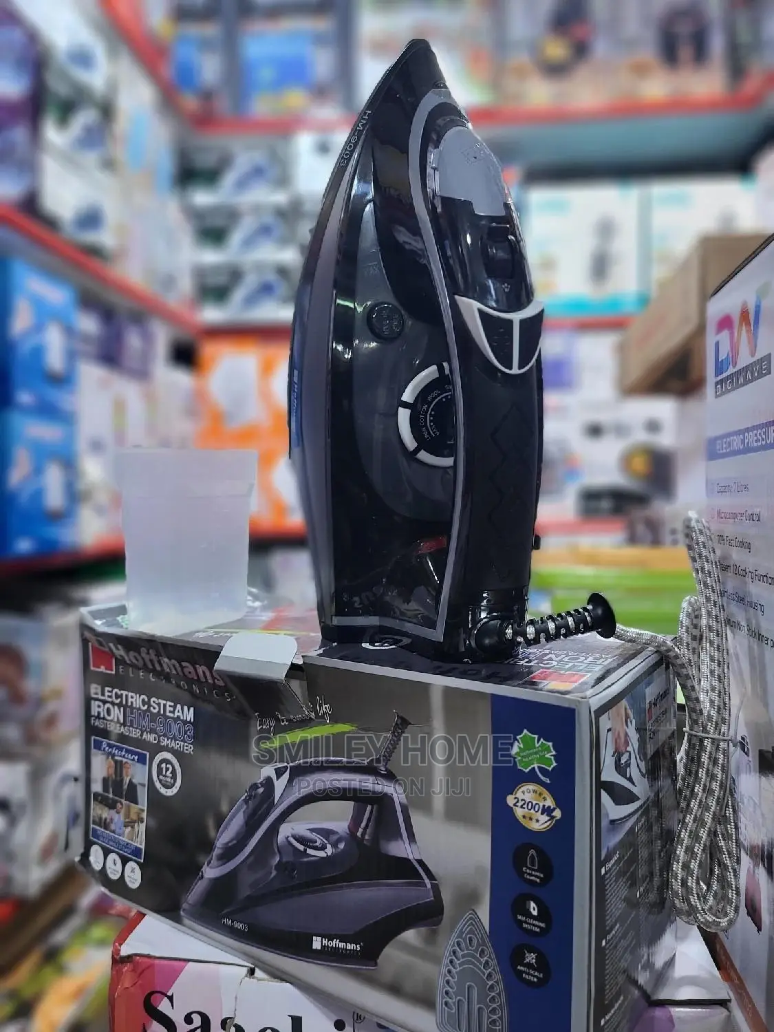 Hoffmans Steam Iron