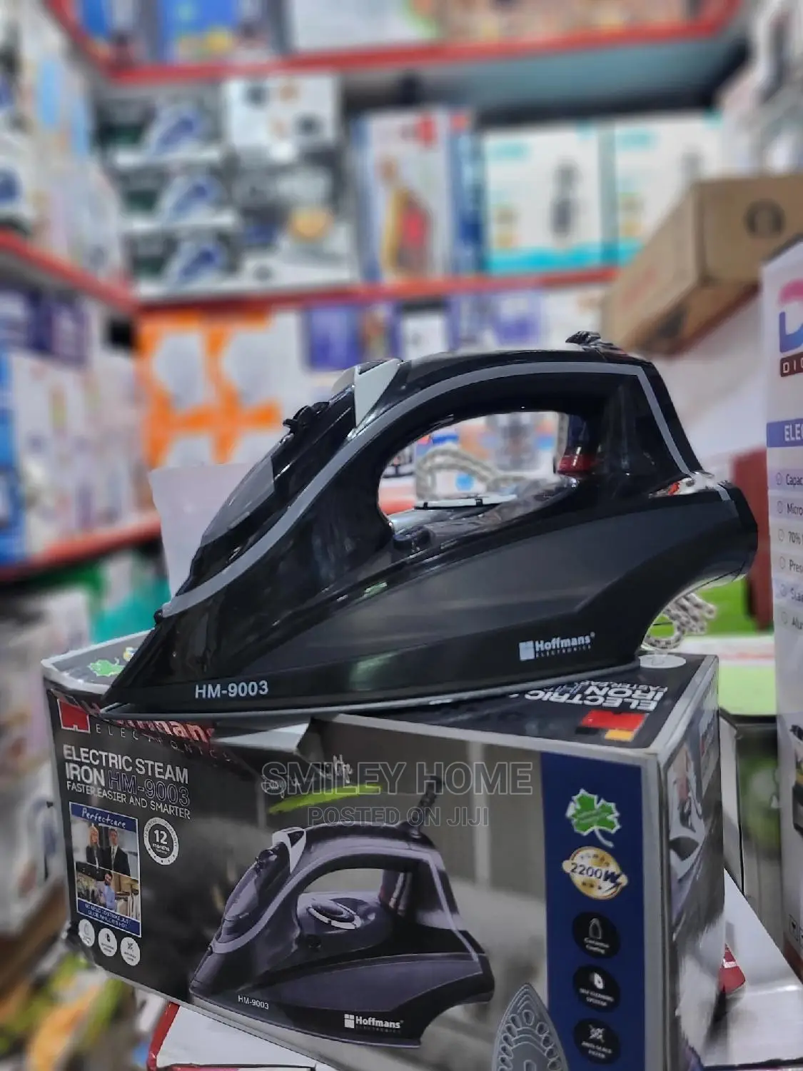 Hoffmans Steam Iron