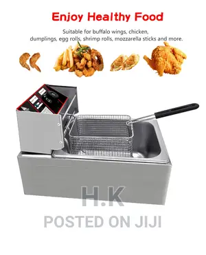 Photo - 3.8l Electric Deep Fryer