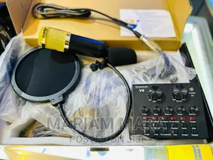 Condenser Microphone