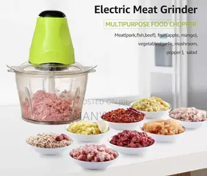 Electric Meat Grinder/ Chopper