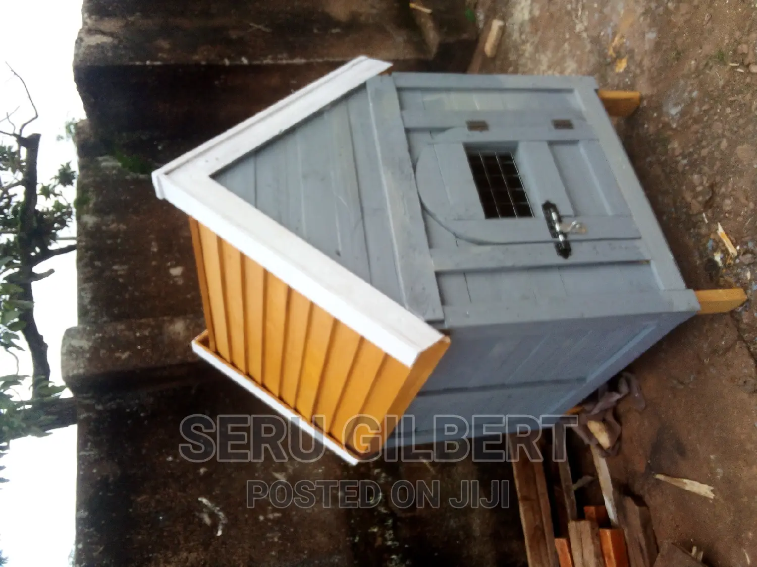 Kinomkh. Dog House