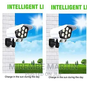 White Solar Monitoring Light