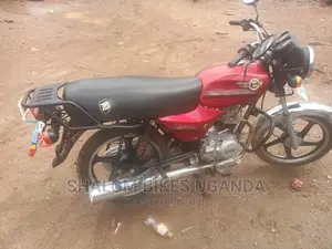 Triumph Bike 2023 Red