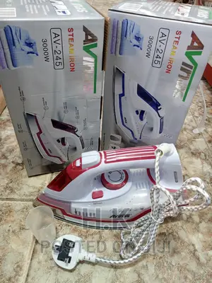 3000W Avinas Steam Iron